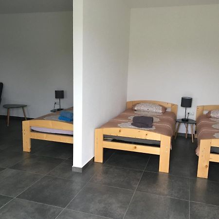 Monteurwohnung 2 Ingelheim am Rhein Luaran gambar